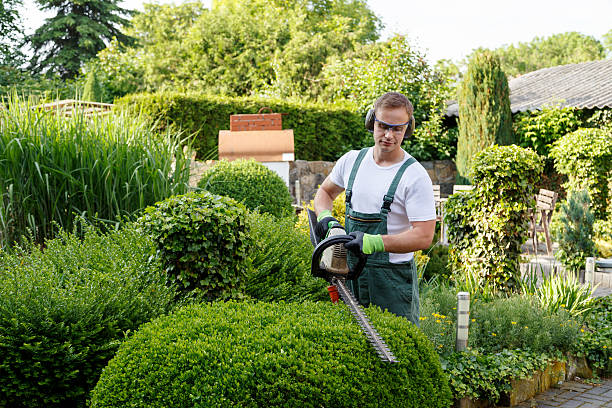 Best Lawn Mowing  in Bristol, CT